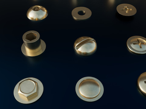 Screws gold color 3D 모델