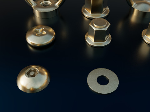 Screws gold color 3D 모델