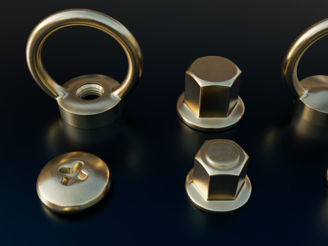 Screws gold color 3D 모델