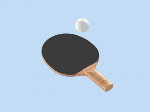 Ping Pong racket 3D Model