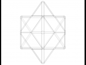 Wireframe Shape First Stellation of The Rhombic Dodecahedron Modelo de impresión 3D