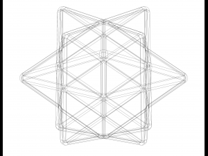 Wireframe Shape First Stellation of The Rhombic Dodecahedron Modelo de impresión 3D