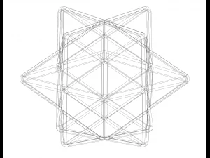 Wireframe Shape First Stellation of The Rhombic Dodecahedron 3D Print Model