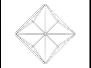 Wireframe Shape Triakis Octahedron 3D Print Model