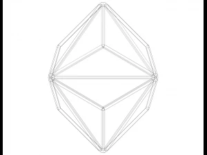 Wireframe Shape Triakis Octahedron 3D Print Model