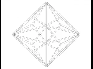 Wireframe Shape Triakis Octahedron 3D Print Model