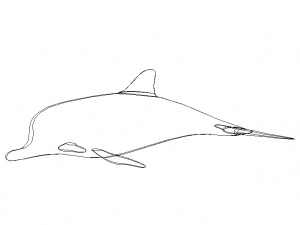 3D Art Surface Pink Dolphin 3D-printmodel