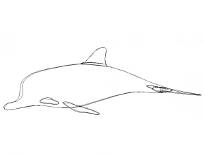 3D Art Surface Pink Dolphin 3D Print Model