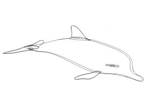 3D Art Surface Pink Dolphin 3D-printmodel