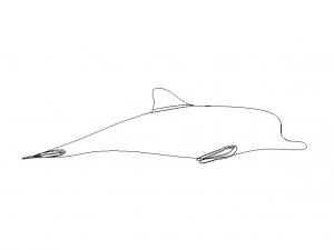 3D Art Surface Pink Dolphin 3D-printmodel