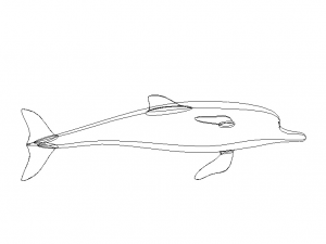 3D Art Surface Pink Dolphin 3D-printmodel