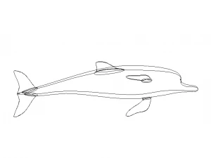 3D Art Surface Pink Dolphin 3D Print Model