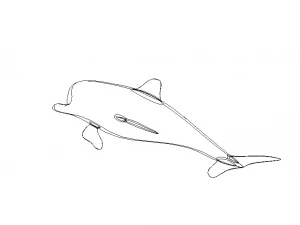 3D Art Surface Pink Dolphin 3D Print Model