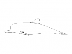 3D Art Surface Pink Dolphin 3D-printmodel