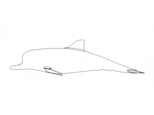 3D Art Surface Pink Dolphin 3D Print Model
