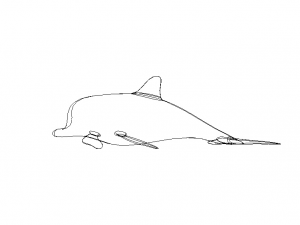 3D Art Surface Pink Dolphin 3D-printmodel