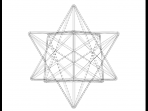 Wireframe Shape Small Stellated Dodecahedron 3D प्रिंट मॉडल
