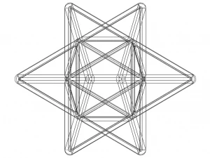 Wireframe Shape Stellated Octahedron 3D Print Model