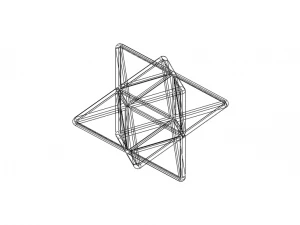 Wireframe Shape Stellated Octahedron 3D Print Model