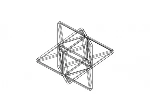 Wireframe Shape Stellated Octahedron 3D Print Model