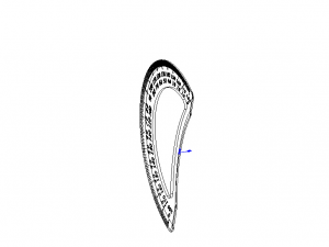 180 Degree Protractor 15cm Model 3D