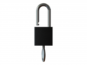 Solid Black Essential Padlock Modello 3D