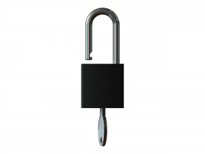Solid Black Essential Padlock 3D Model