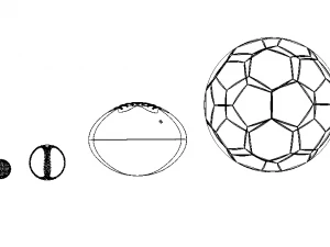 Sport Balls Equipment 3D Model