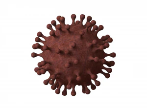 Virus Shaped Stress Ball 5 Inch 3D Print Model
