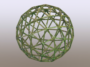 Wireframe Shape Pentakis Snub Dodecahedron 3D Print Model
