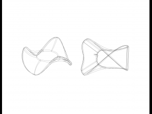 Moebius Shape Geometric Art 3D-Druckmodell