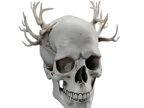 Antler Skull Collection 3D Print Model