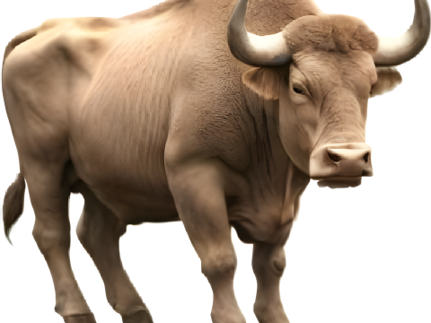 Majestic Bull Statue Modelo de impresión 3D