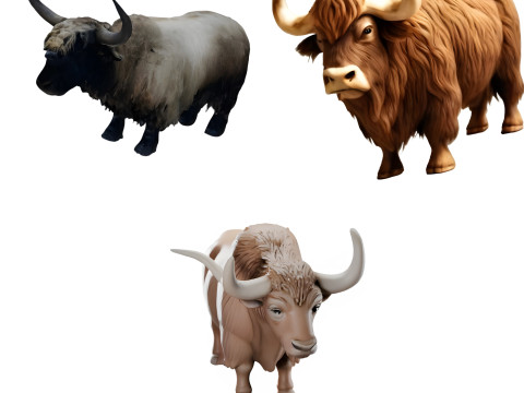 Highland Cattle Collection Realistic Cartoon and Stylized Variants 3D 打印模型