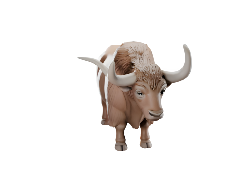 Highland Cattle Collection Realistic Cartoon and Stylized Variants Model do druku 3D