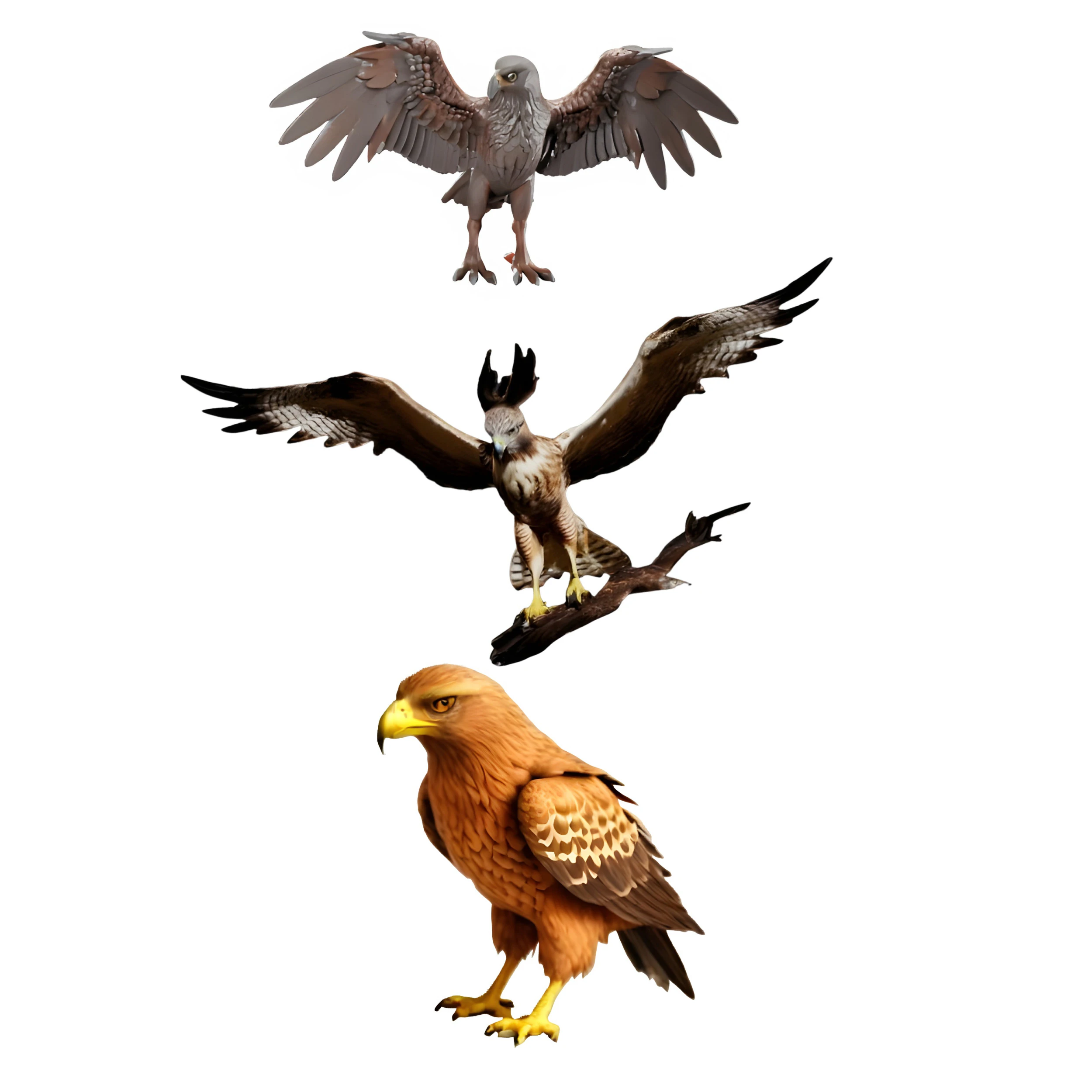 Majestic Eagle Display Model 3D Print Model .c4d .max .obj .3ds .fbx .stl .blend
