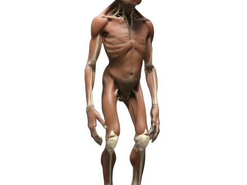 Primordial Guardians Collection 3D Print Model