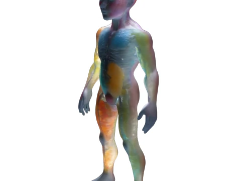Advanced Human Body Study Collection 3D Print Model