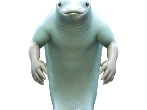 Aquatic Warriors Sea Guardians Collection Modello di stampa 3D