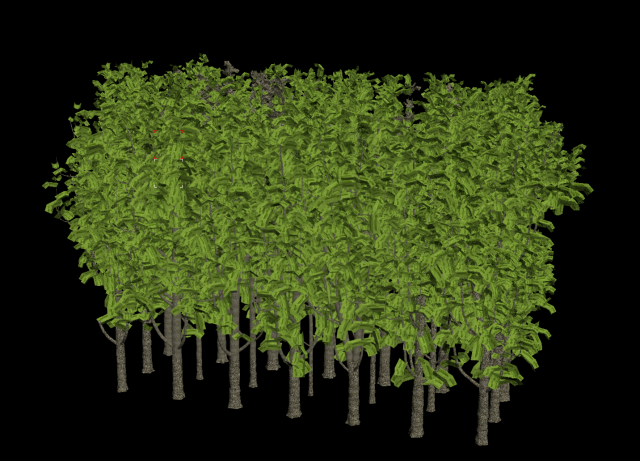 Bush Trees 3D Модель .c4d .max .obj .3ds .fbx .stl .blend 