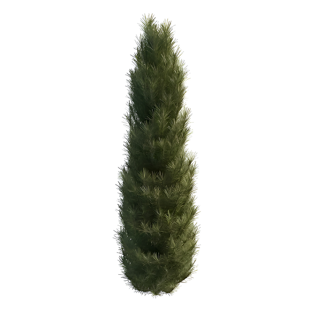 Italian Cypress Tree Modello 3D .c4d .max .obj .3ds .fbx .stl .blend 