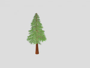Conifer 3D Model