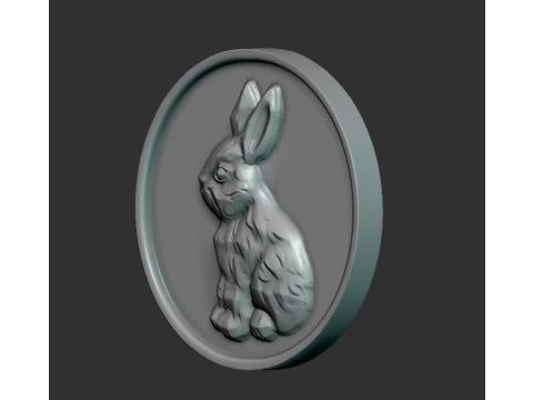 Rabbit coin 3D Print Model
