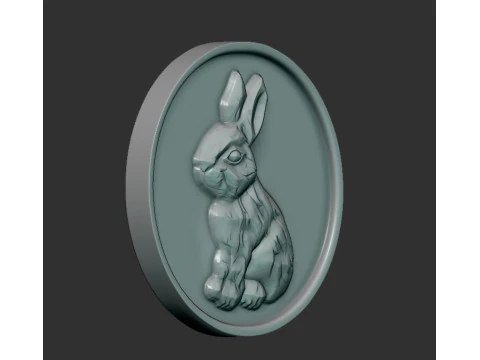 Rabbit coin 3D Print Model