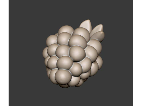 Grape 3D Print Model