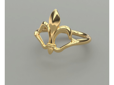 Ring Modello di stampa 3D