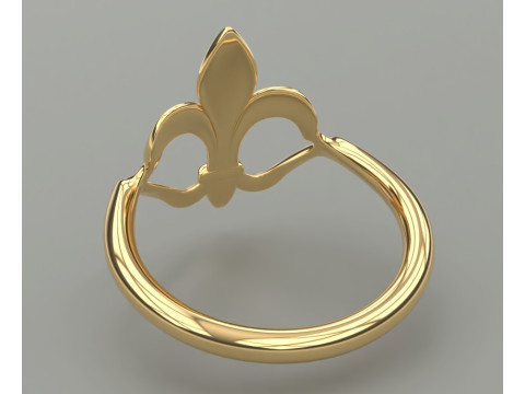 Ring 3D Print Model