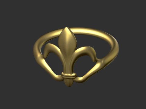 반지 3D 프린트 모델