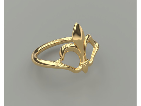 Ring 3D Print Model
