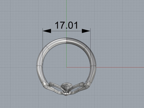 Ring 3D Print Model